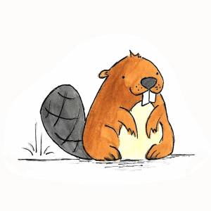 Рисунок бобра карандашом