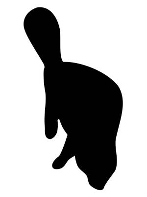 Трафареты Бобра