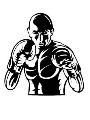 Трафареты Бокс