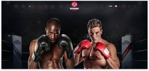 8 шаблонов сайта о боксе на WordPress 2019 года sport box бокс wordpress theme 2019 вордпресс шаблон landing лендинг