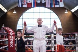 Команды в боксе, которые подает рефери