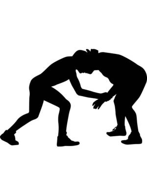 Трафареты Борьба