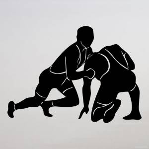 Трафарет самбо