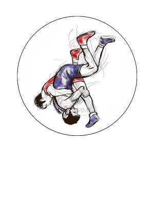 ✓Вкладыш самоклеющийся D1 S255 Вольная борьба, диаметр вкладыша 25 мм