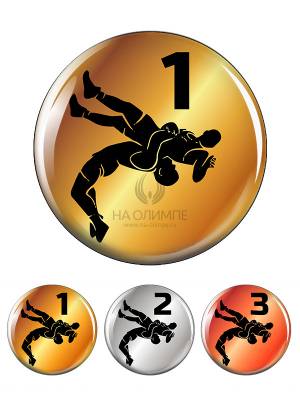 ✓Вкладыш заливной D2 Z409 Вольная борьба 3Место, диаметр вкладыша 50 мм