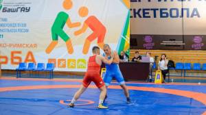 Вольная и греко-римская борьба