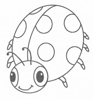 Раскраска божья коровка