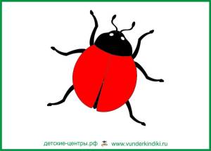 Раскраска божья коровка без точек