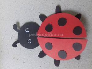 Аппликация Божья коровка из цветной бумаги с шаблонами