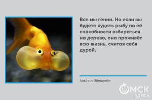От гениальности до сумасшествия