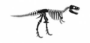 Скелет динозавра тираннозавра доисторическая векторная иллюстрация животных