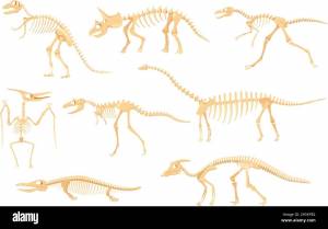 Мультяшный скелет динозавра