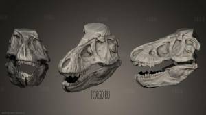 Череп тираннозавра Рекса