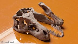 Файл STL Реалистичный череп тираннозавра