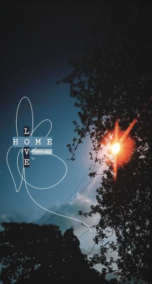 Instagram story ideas- BTS flower Nancy Gohil Late nights