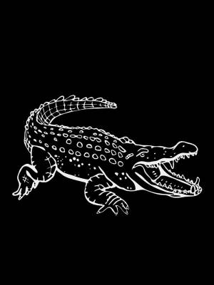 Трафареты Аллигатора