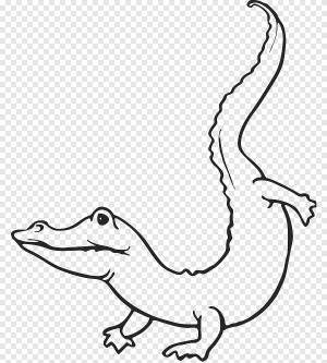 Аллигатор Трафарет крокодил, аллигатор, белый, млекопитающее png