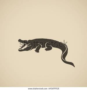 Alligator Vector Illustration
