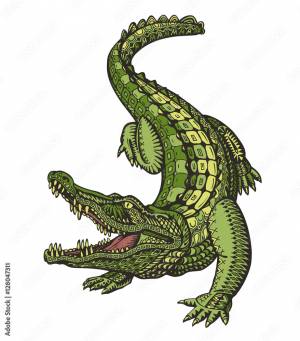 Crocodile or Alligator