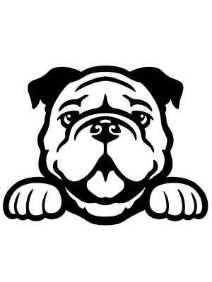 Трафареты Бульдога