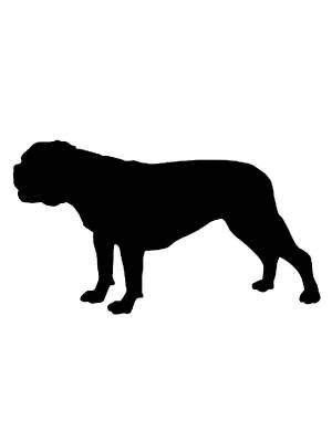 Трафареты Бульдога