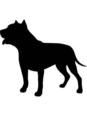 Трафареты Питбуля