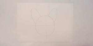 Как нарисовать французского бульдога