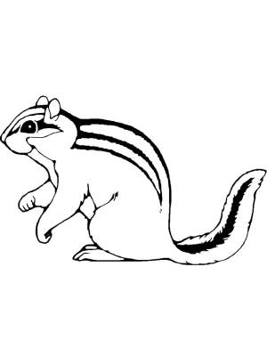 Трафареты Бурундука