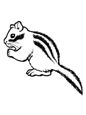 Трафареты Бурундука