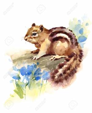 Бурундук в лесу