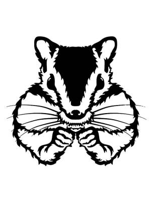 Трафареты Бурундука