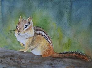 Бурундуки осенью