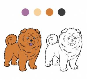 Книжка-раскраска для детей породы собак чау-чау