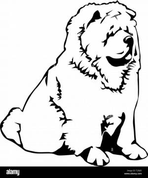 Раскраски собака кавказец