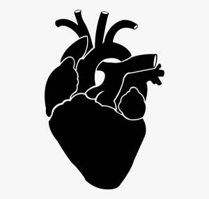 Трафареты сердце человека