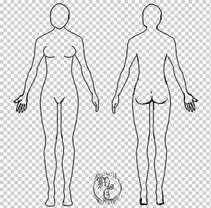 Человеческое тело Женский шаблон формы диаграммы чертежа, тело человека, шаблон, белый, лицо png