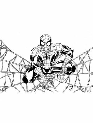 Трафареты Человека Паука