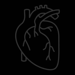 Трафареты настоящее сердце