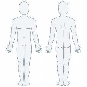 Пустой шаблон тела человека спереди и сзади