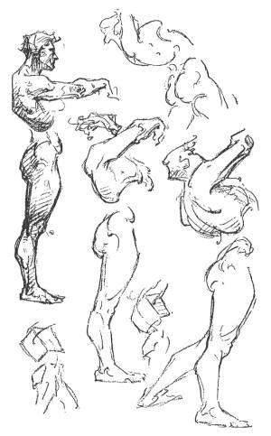 Анатомия человека для художников