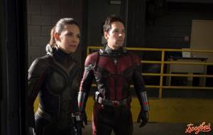 Рецензия на фильм «Человек-муравей и Оса»