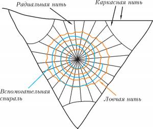 Веревка из паутины