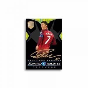 Футбольные карты Panini