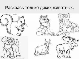 Раскраски карточки дикие животные