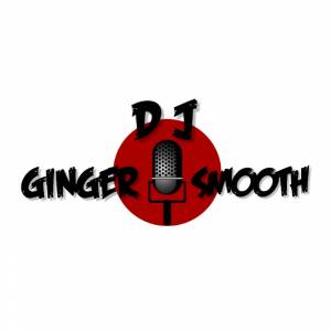 Шаблон Transparent DJ Logo Template