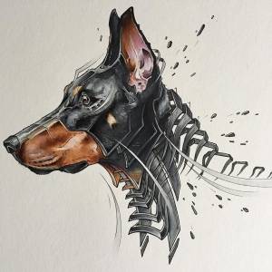 Рисунок карандашом доберман