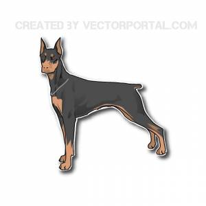 Векторное изображение Добермана Royalty Free Stock SVG Vector and Clip Art