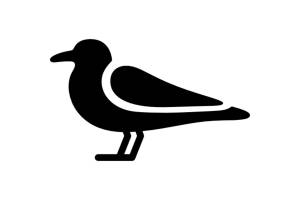 Трафареты и шаблоны Чайки