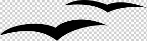 Gulls Drawing Line art, Чайки силуэт, любовь, разное, лист png