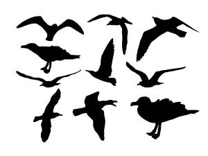 Трафареты Чайки